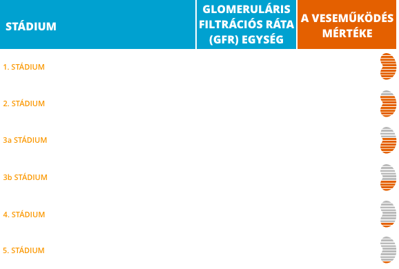 Mennyire működnek jól a veséi?